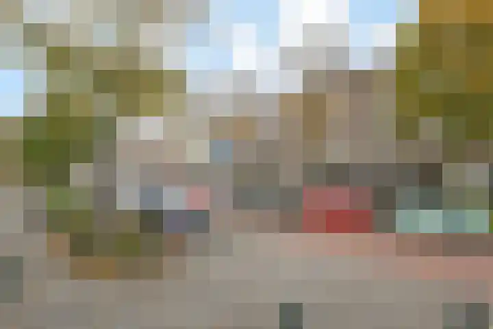 Goudsbloemlaan 121 Den Haag thumbnail 34