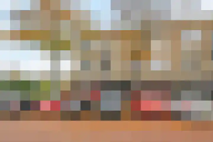 Goudsbloemlaan 121 Den Haag thumbnail 4