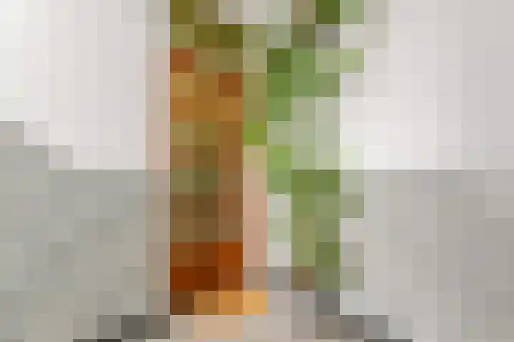 Goudsbloemlaan 121 Den Haag thumbnail 6