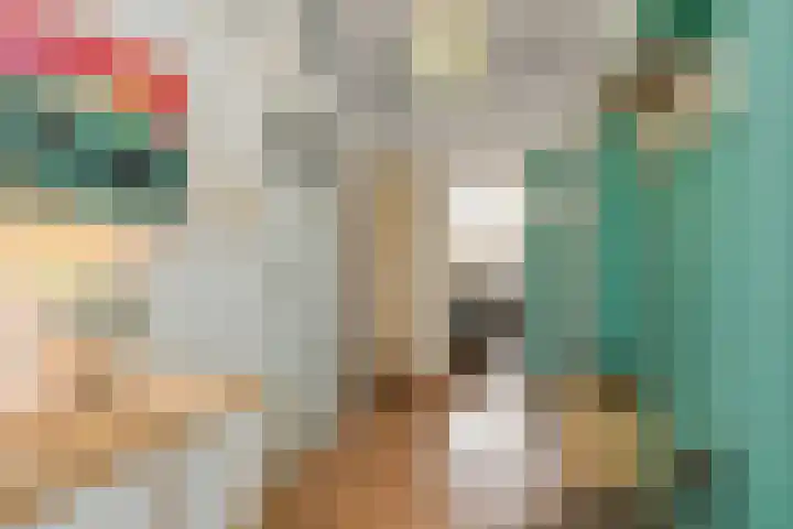 Goudsbloemlaan 121 Den Haag thumbnail 8