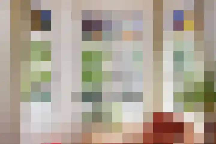 Goudsbloemlaan 13 Den Haag thumbnail 14