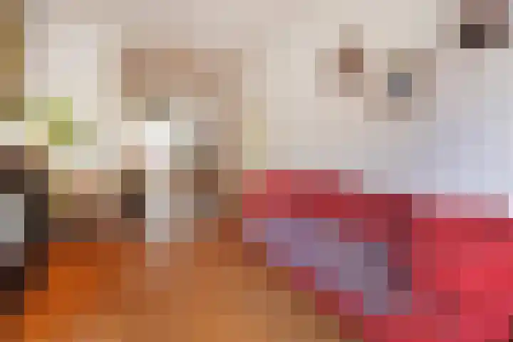 Goudsbloemlaan 13 Den Haag thumbnail 16