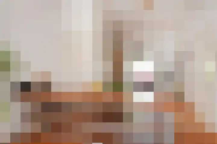 Goudsbloemlaan 13 Den Haag thumbnail 17