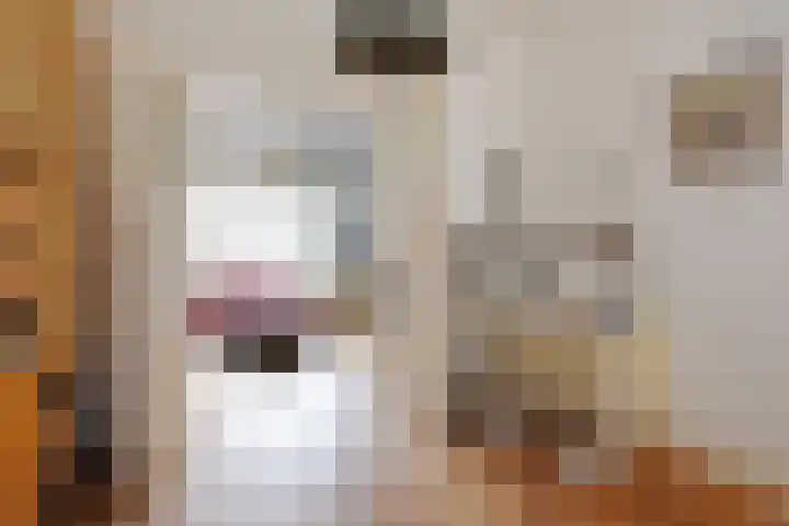 Goudsbloemlaan 13 Den Haag thumbnail 19