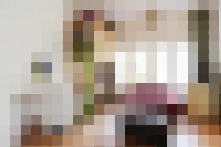 Goudsbloemlaan 13 Den Haag thumbnail 21
