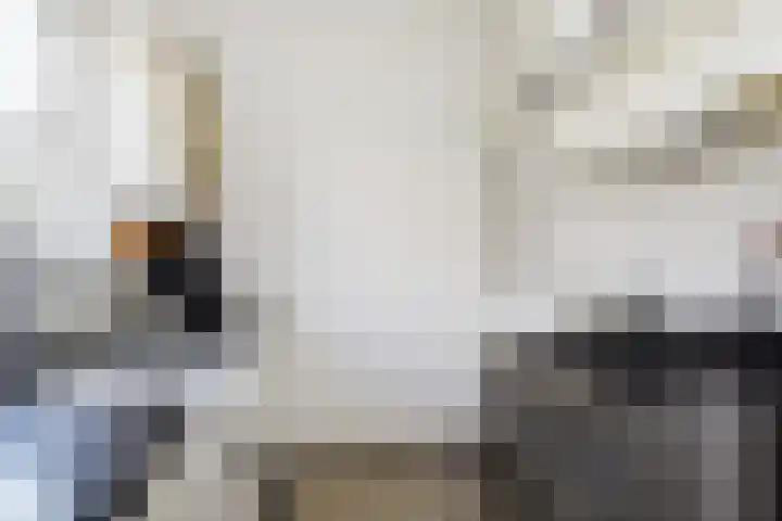 Goudsbloemlaan 13 Den Haag thumbnail 28