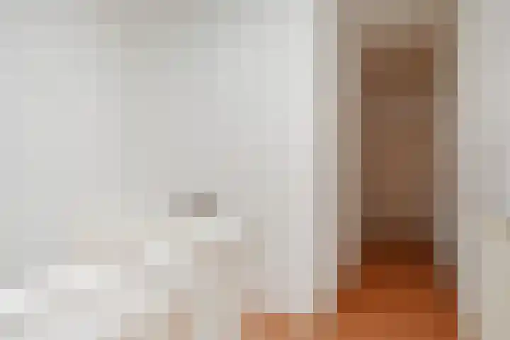 Goudsbloemlaan 13 Den Haag thumbnail 33