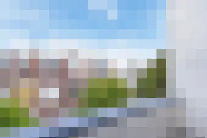Goudsbloemlaan 13 Den Haag thumbnail 43