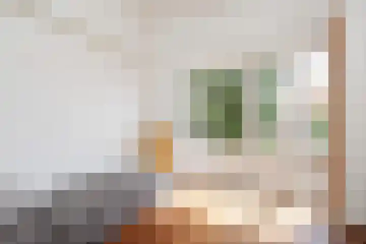 Goudsbloemlaan 13 Den Haag thumbnail 45