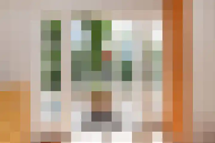 Goudsbloemlaan 13 Den Haag thumbnail 47