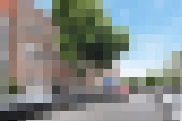 Goudsbloemlaan 13 Den Haag thumbnail 5