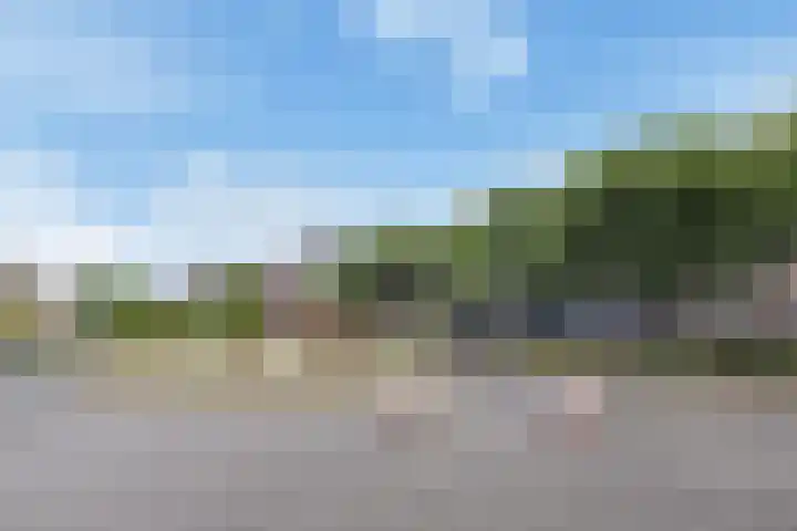 Goudsbloemlaan 13 Den Haag thumbnail 51