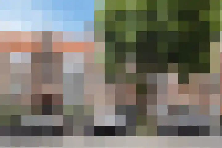 Goudsbloemlaan 13 Den Haag thumbnail 6