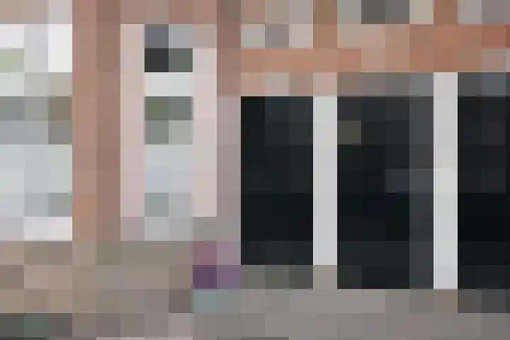 Goudsbloemlaan 13 Den Haag thumbnail 8