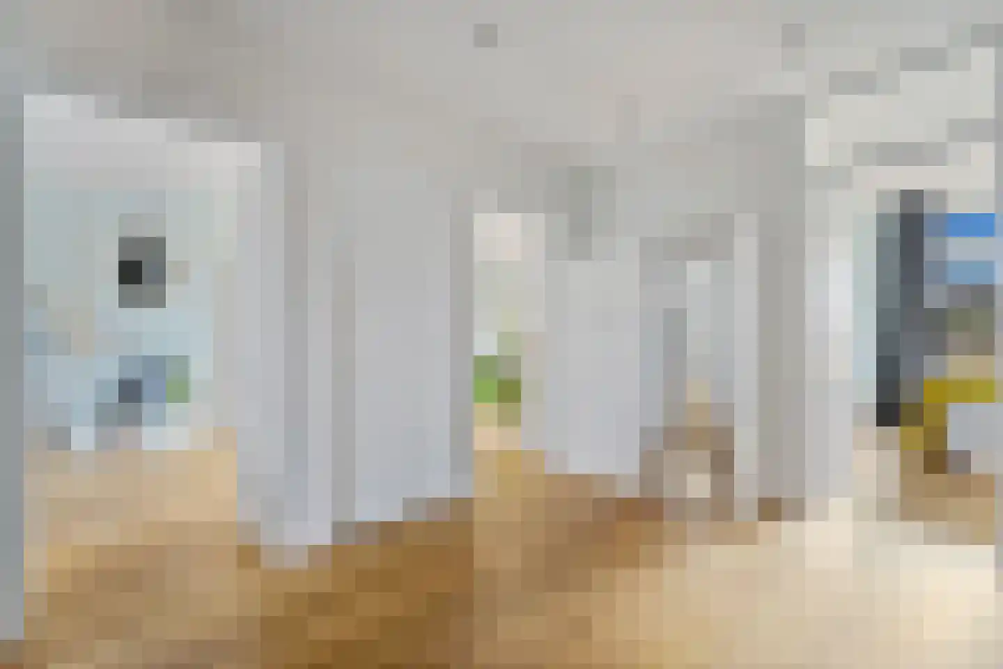 Goudsbloemlaan 144 Den Haag thumbnail 15