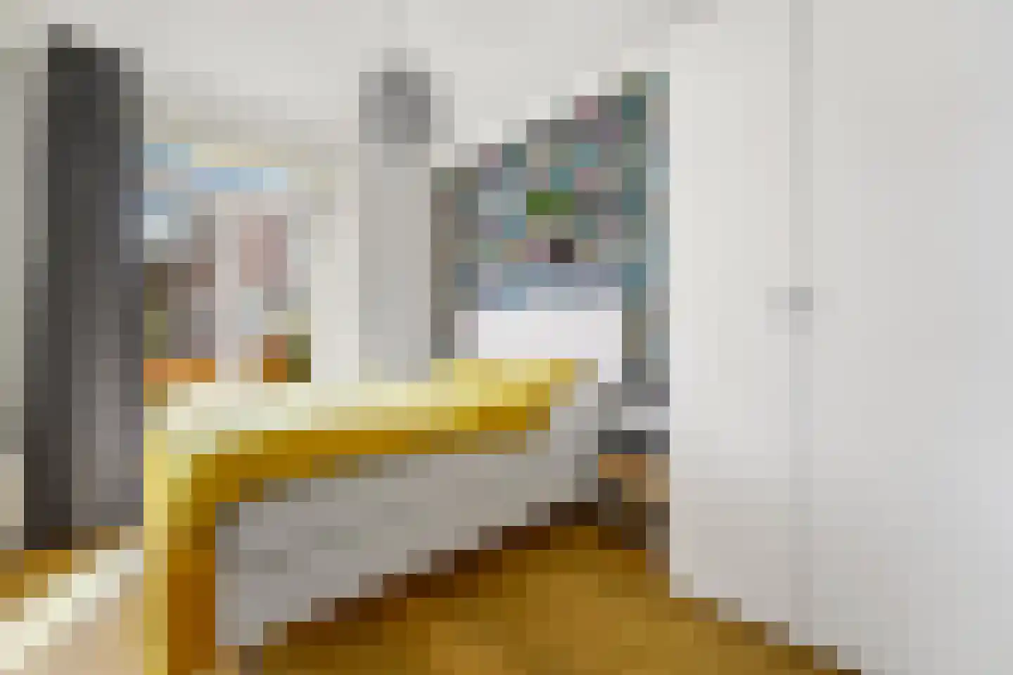 Goudsbloemlaan 144 Den Haag thumbnail 16