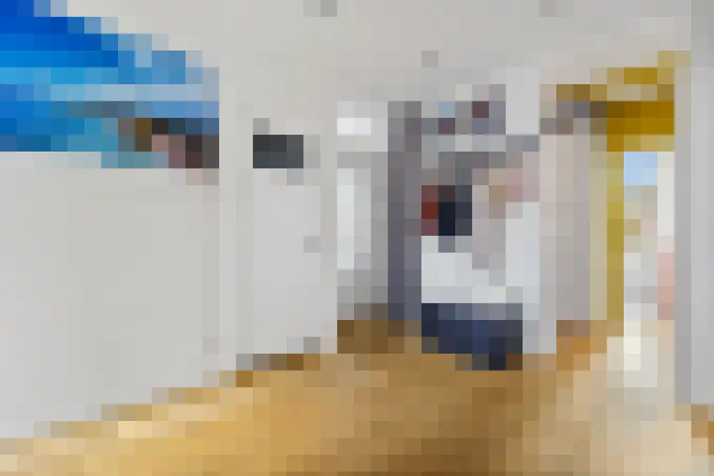 Goudsbloemlaan 144 Den Haag thumbnail 18