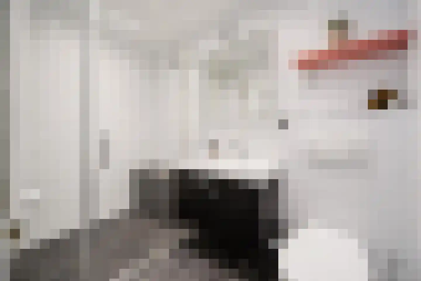 Goudsbloemlaan 144 Den Haag thumbnail 19