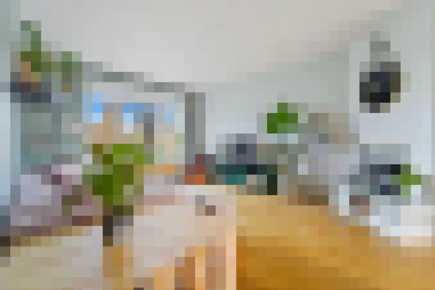Goudsbloemlaan 144 Den Haag thumbnail 5