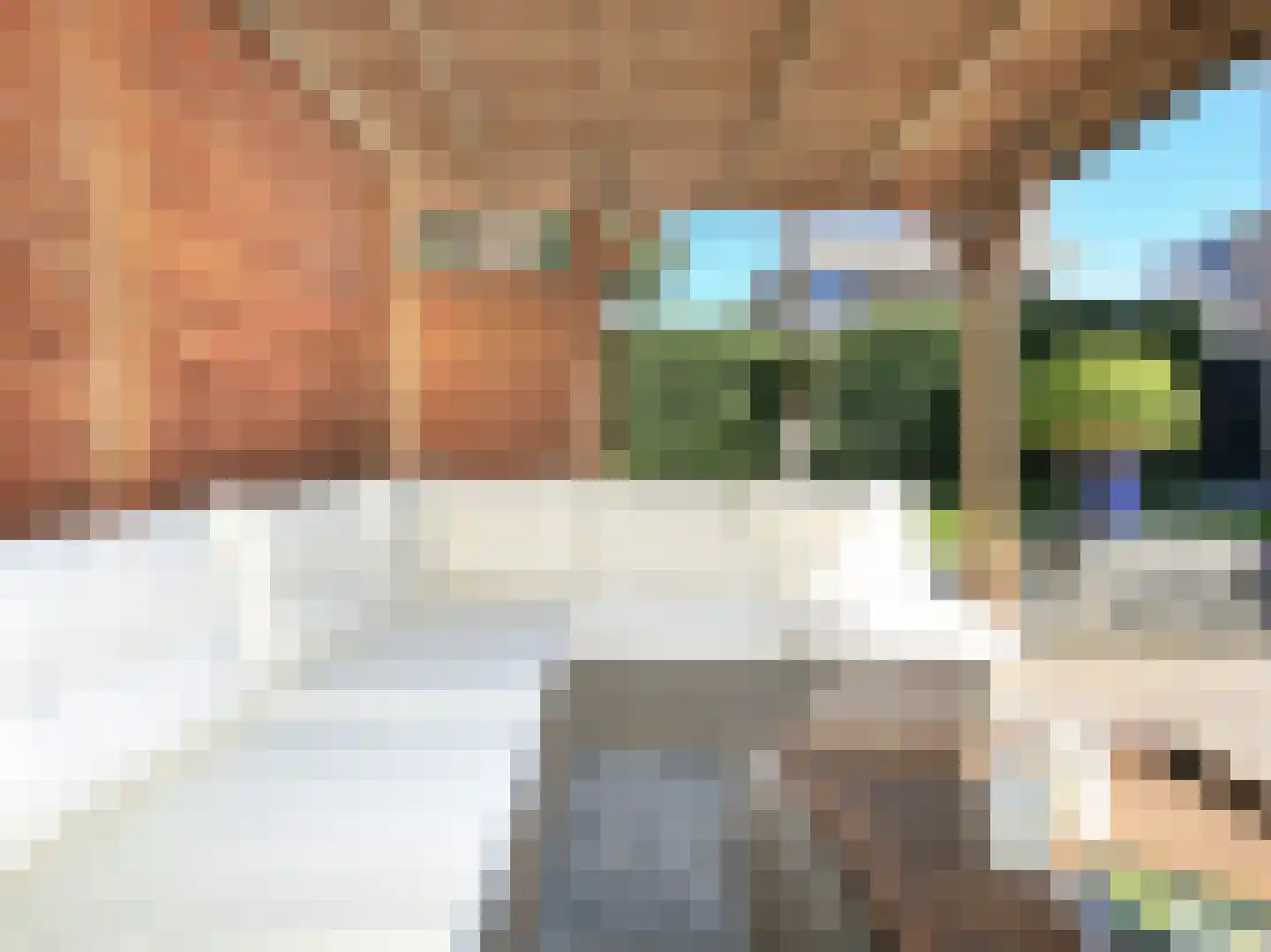 Goudsbloemlaan 15 Badhoevedorp thumbnail 31