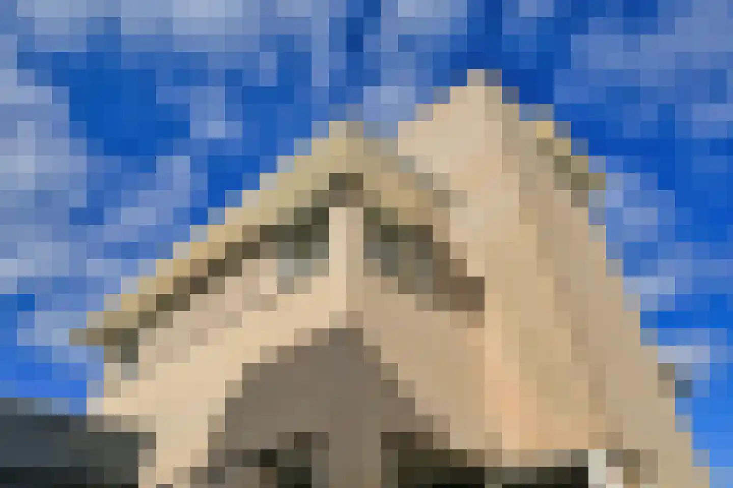 Goudsbloemlaan 15 Badhoevedorp thumbnail 71