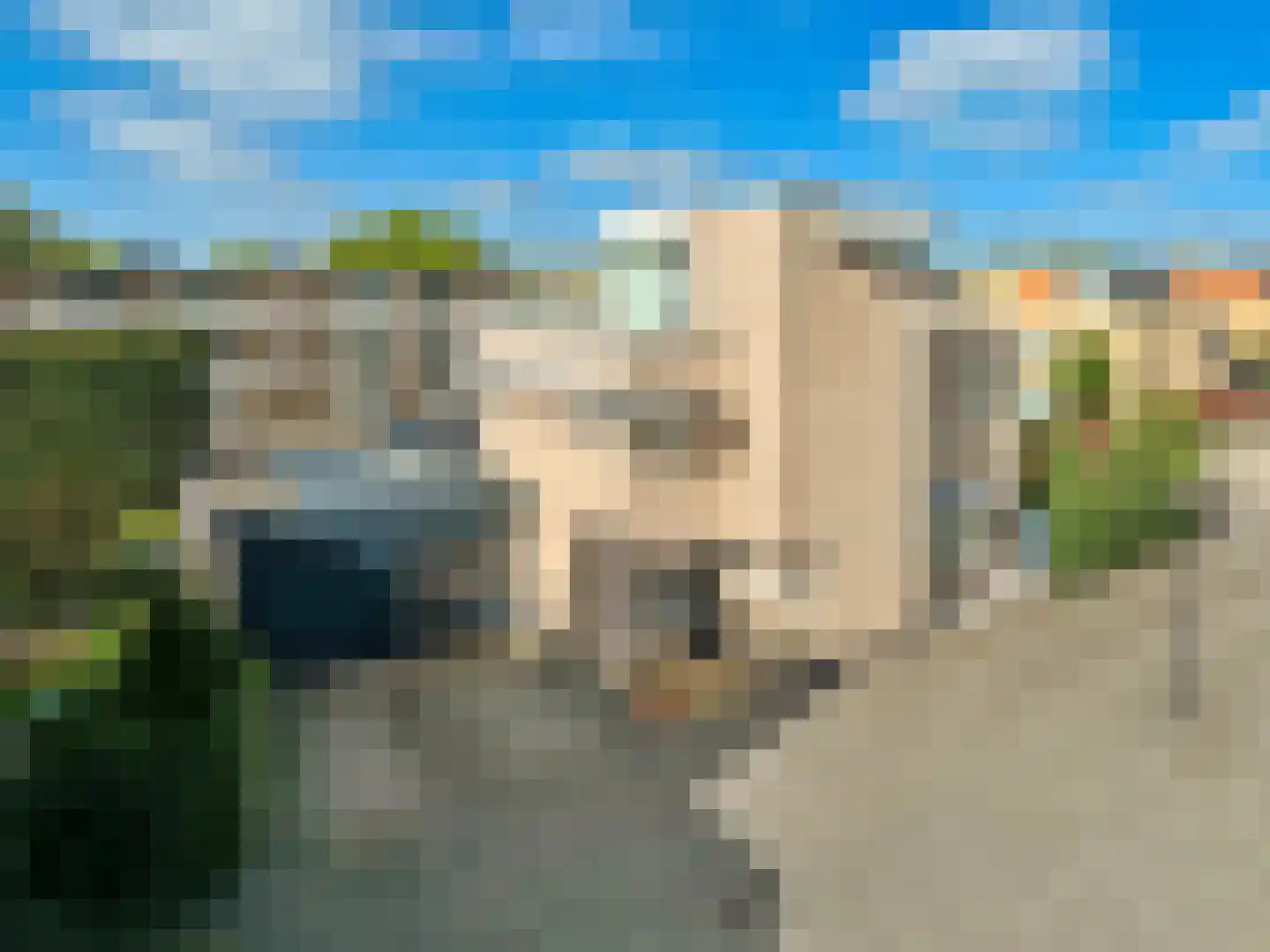 Goudsbloemlaan 15 Badhoevedorp thumbnail 76