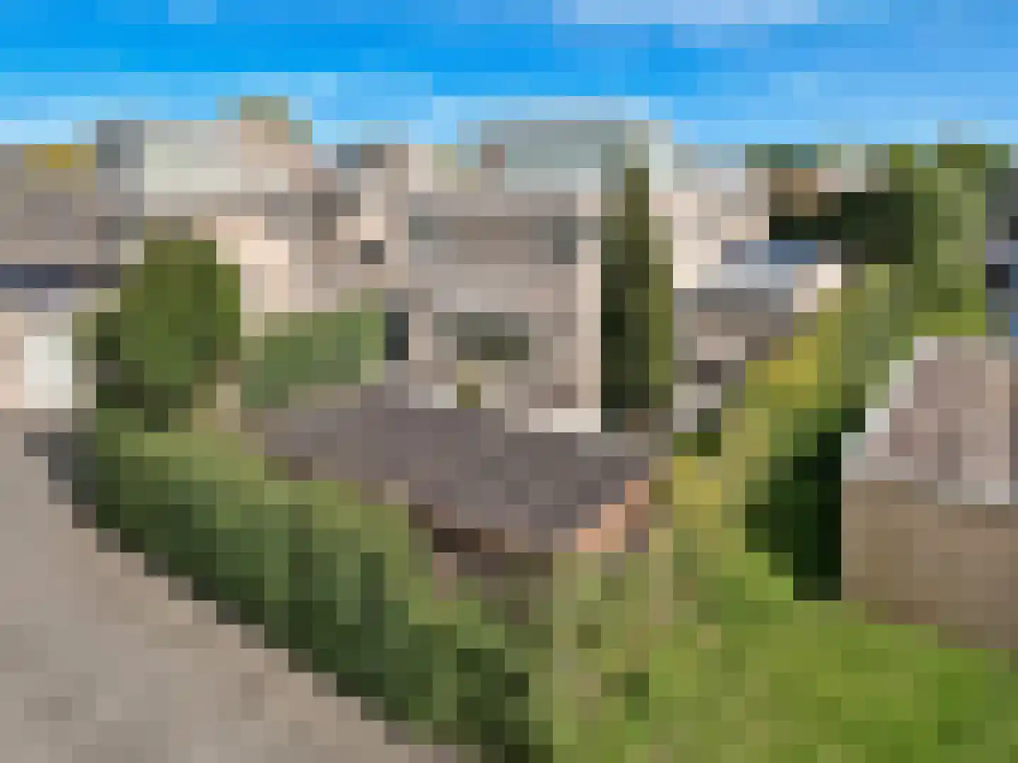 Goudsbloemlaan 15 Badhoevedorp thumbnail 77