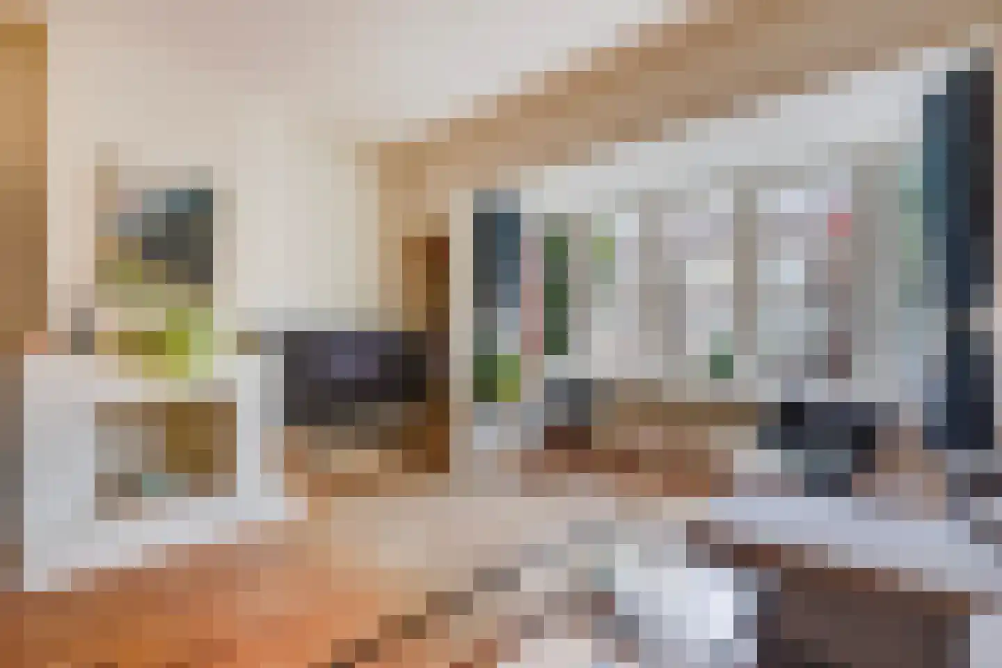 Goudsbloemlaan 19 Den Haag thumbnail 11
