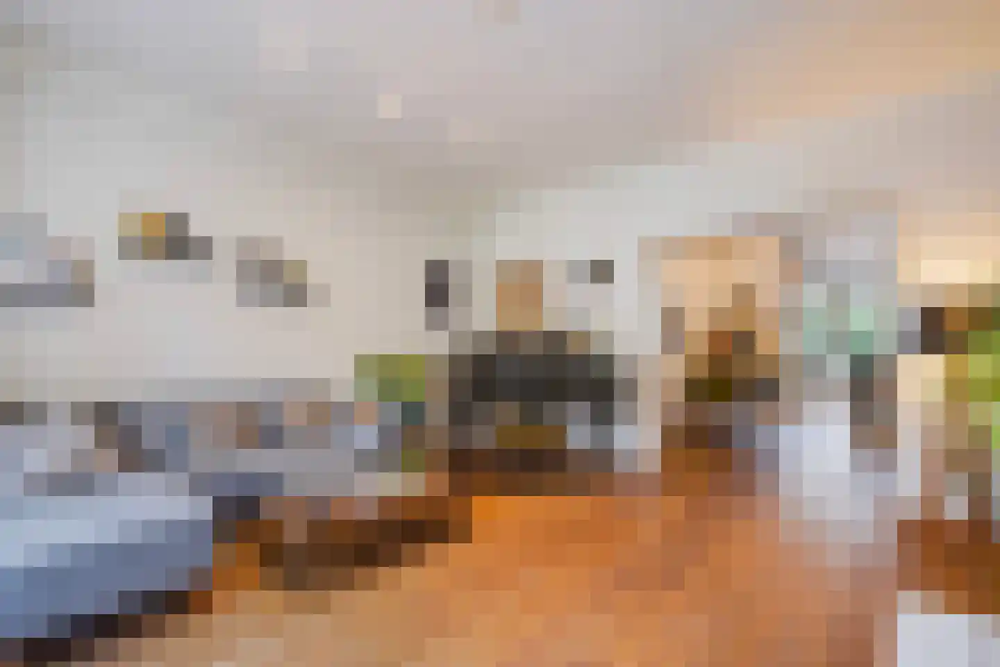 Goudsbloemlaan 19 Den Haag thumbnail 12