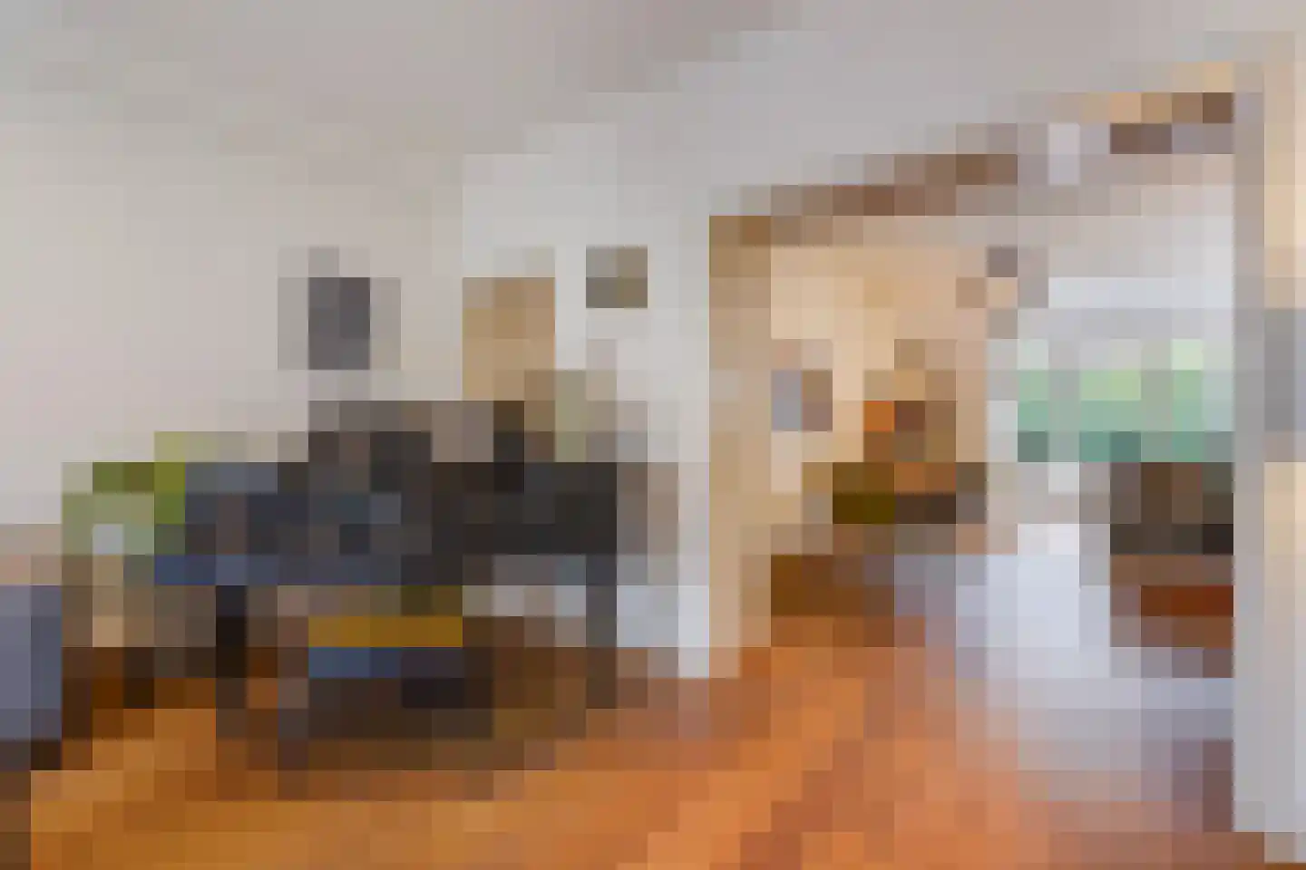 Goudsbloemlaan 19 Den Haag thumbnail 14