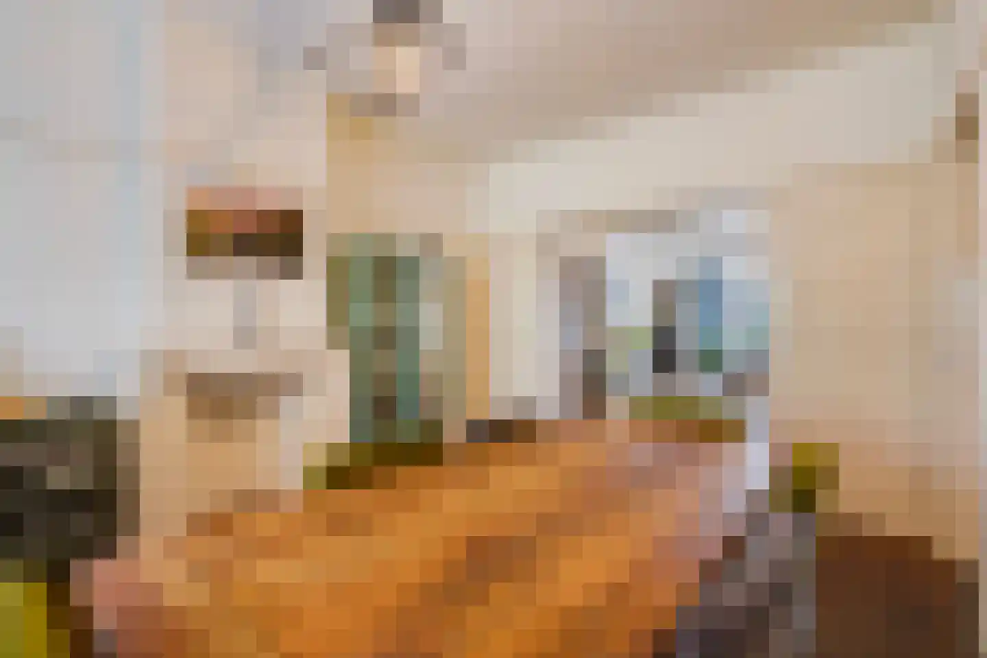 Goudsbloemlaan 19 Den Haag thumbnail 15
