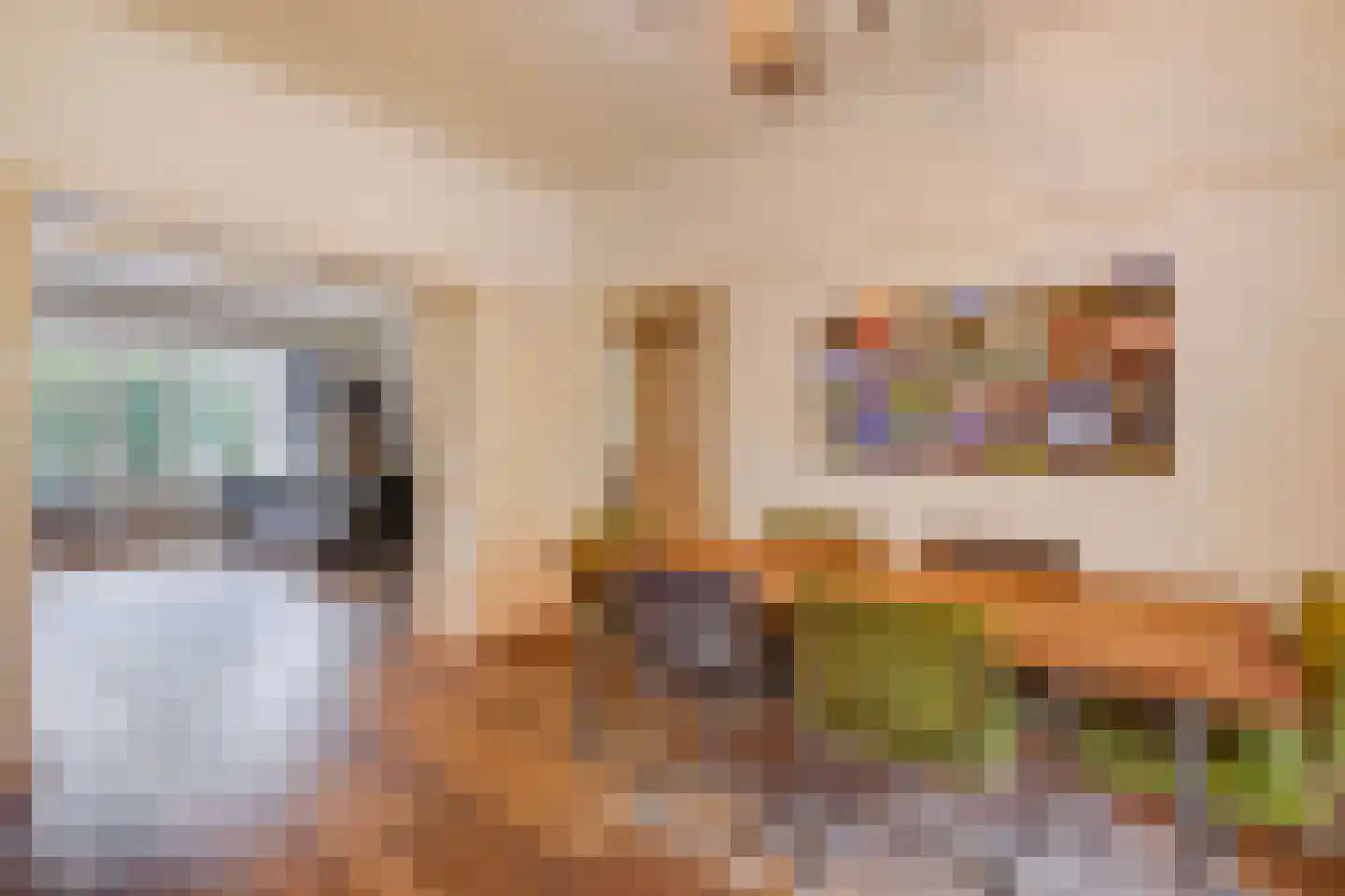 Goudsbloemlaan 19 Den Haag thumbnail 16