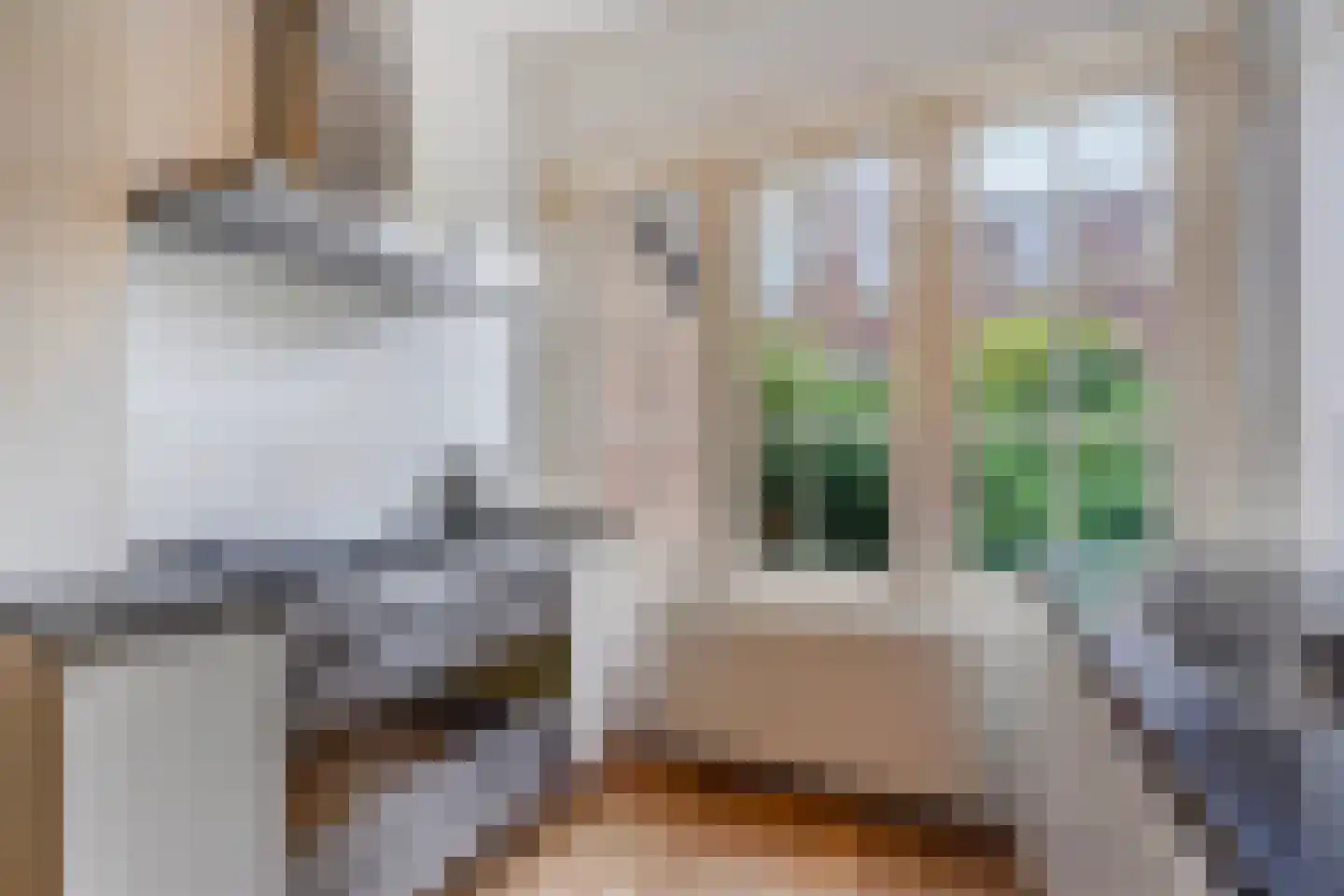 Goudsbloemlaan 19 Den Haag thumbnail 21