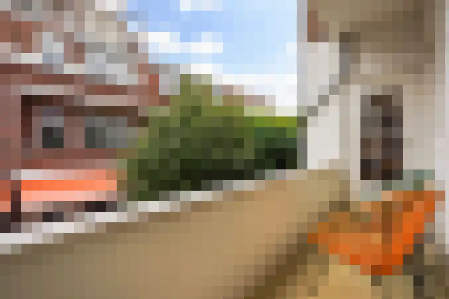 Goudsbloemlaan 19 Den Haag thumbnail 27