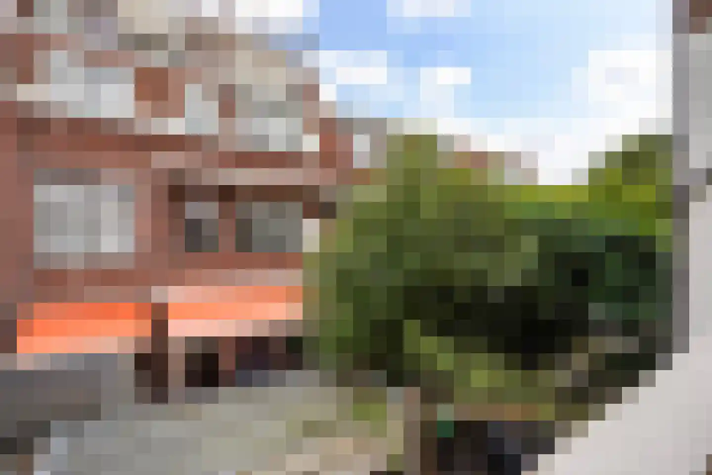 Goudsbloemlaan 19 Den Haag thumbnail 28