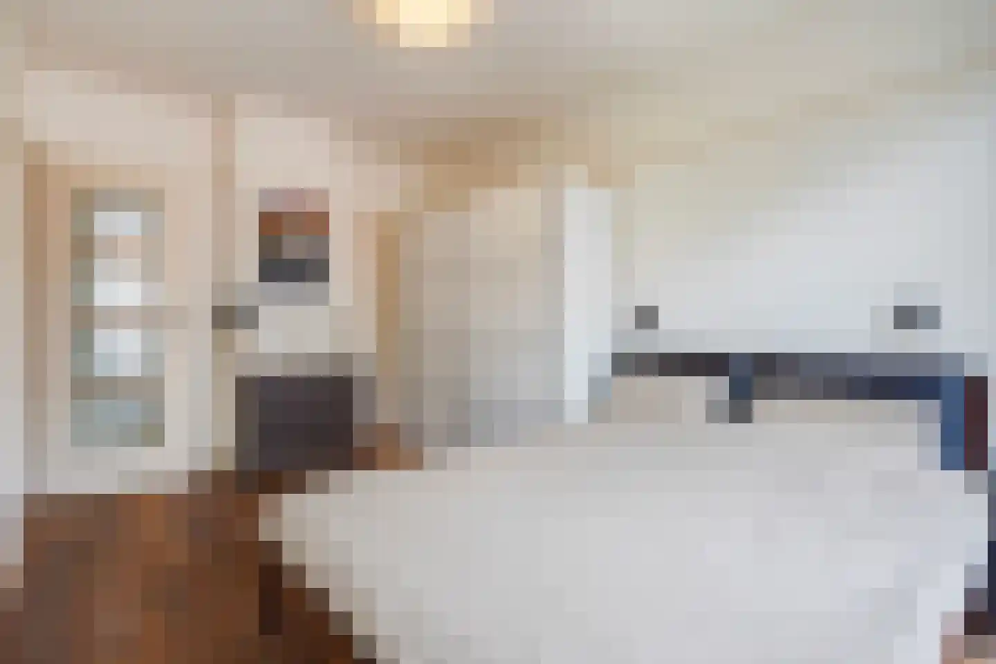 Goudsbloemlaan 19 Den Haag thumbnail 29