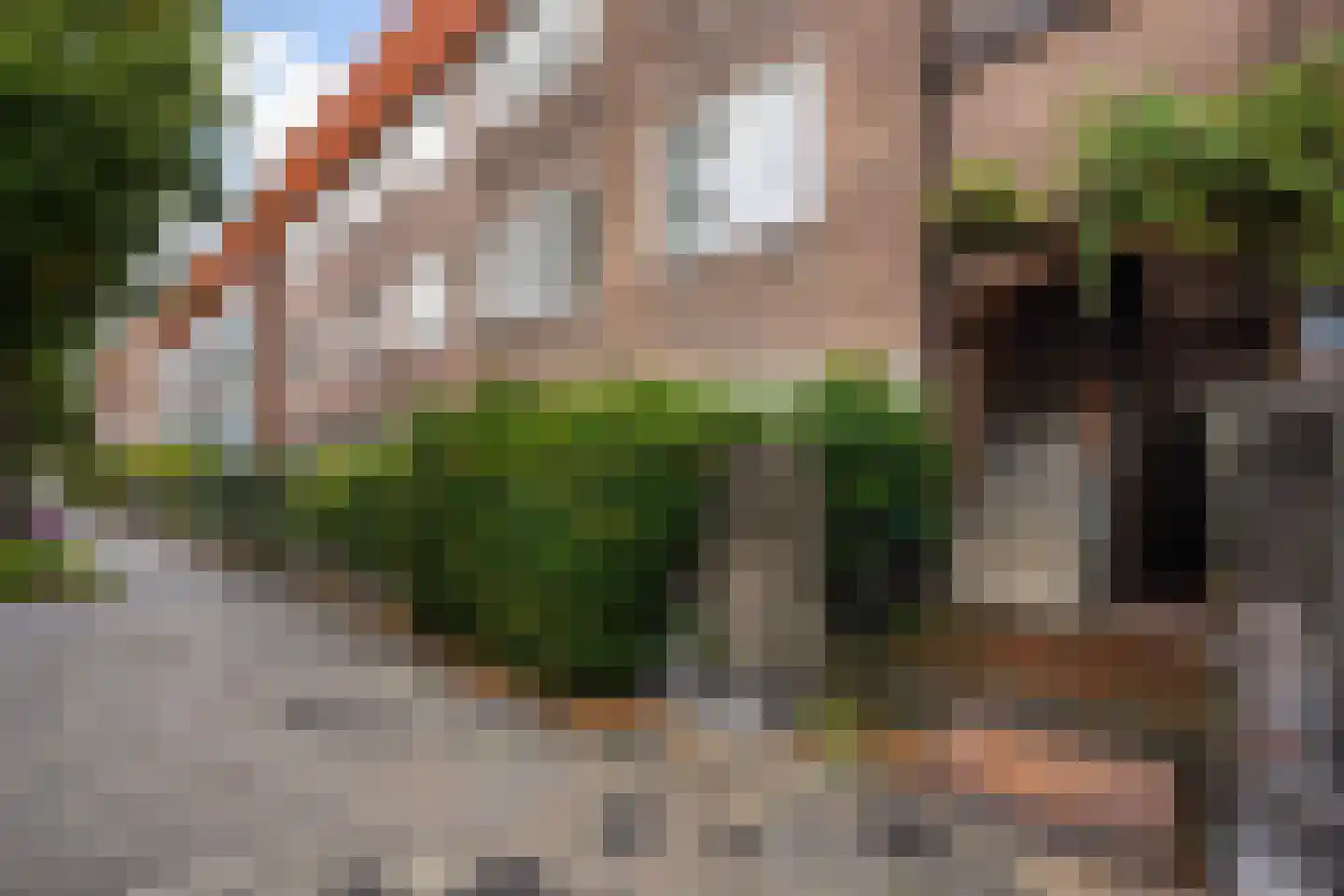 Goudsbloemlaan 19 Den Haag thumbnail 6