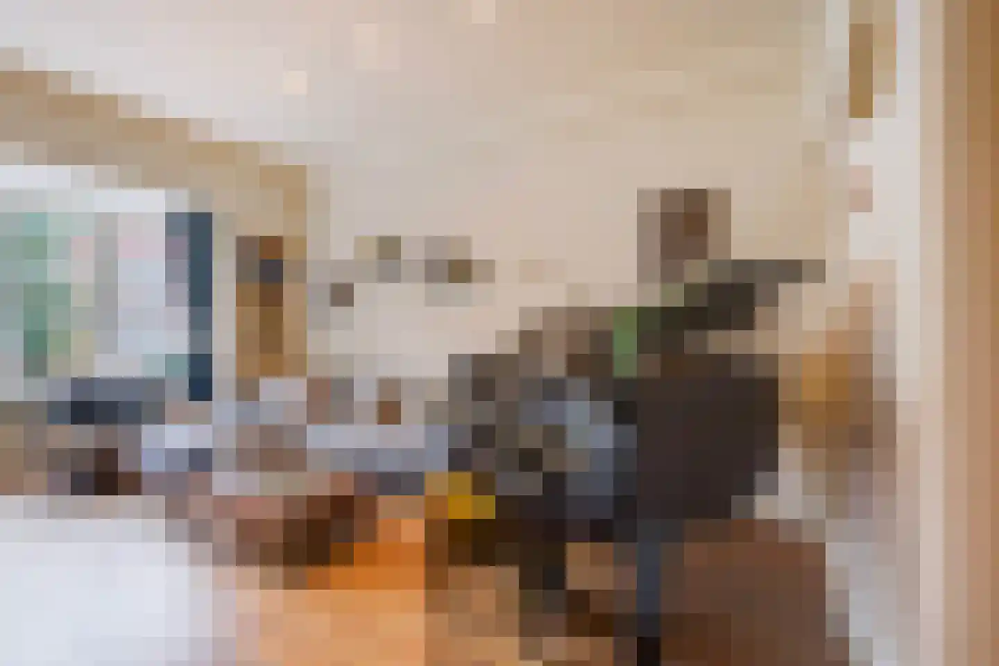 Goudsbloemlaan 19 Den Haag thumbnail 9