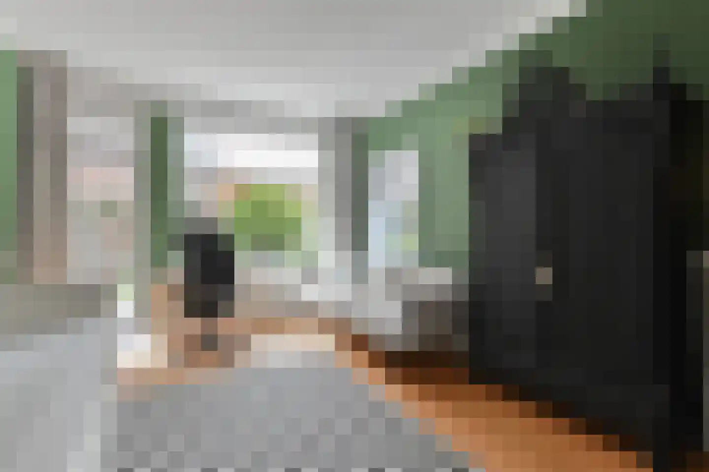 Goudsbloemlaan 220 Den Haag thumbnail 18