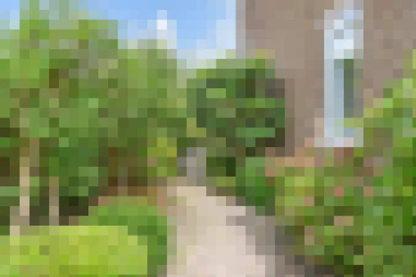 Goudsbloemlaan 220 Den Haag thumbnail 23
