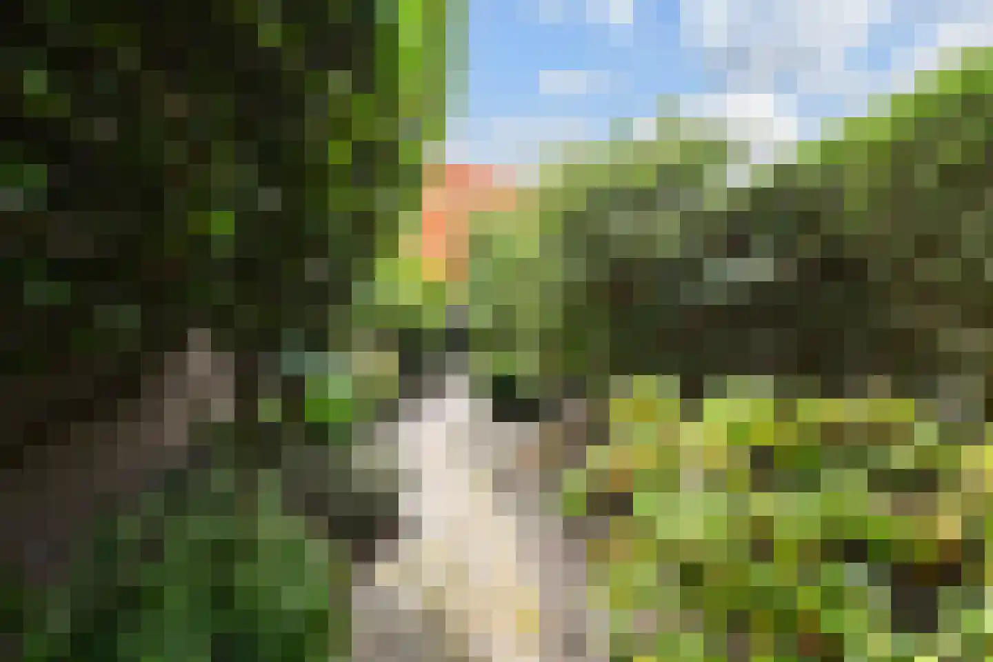 Goudsbloemlaan 220 Den Haag thumbnail 26