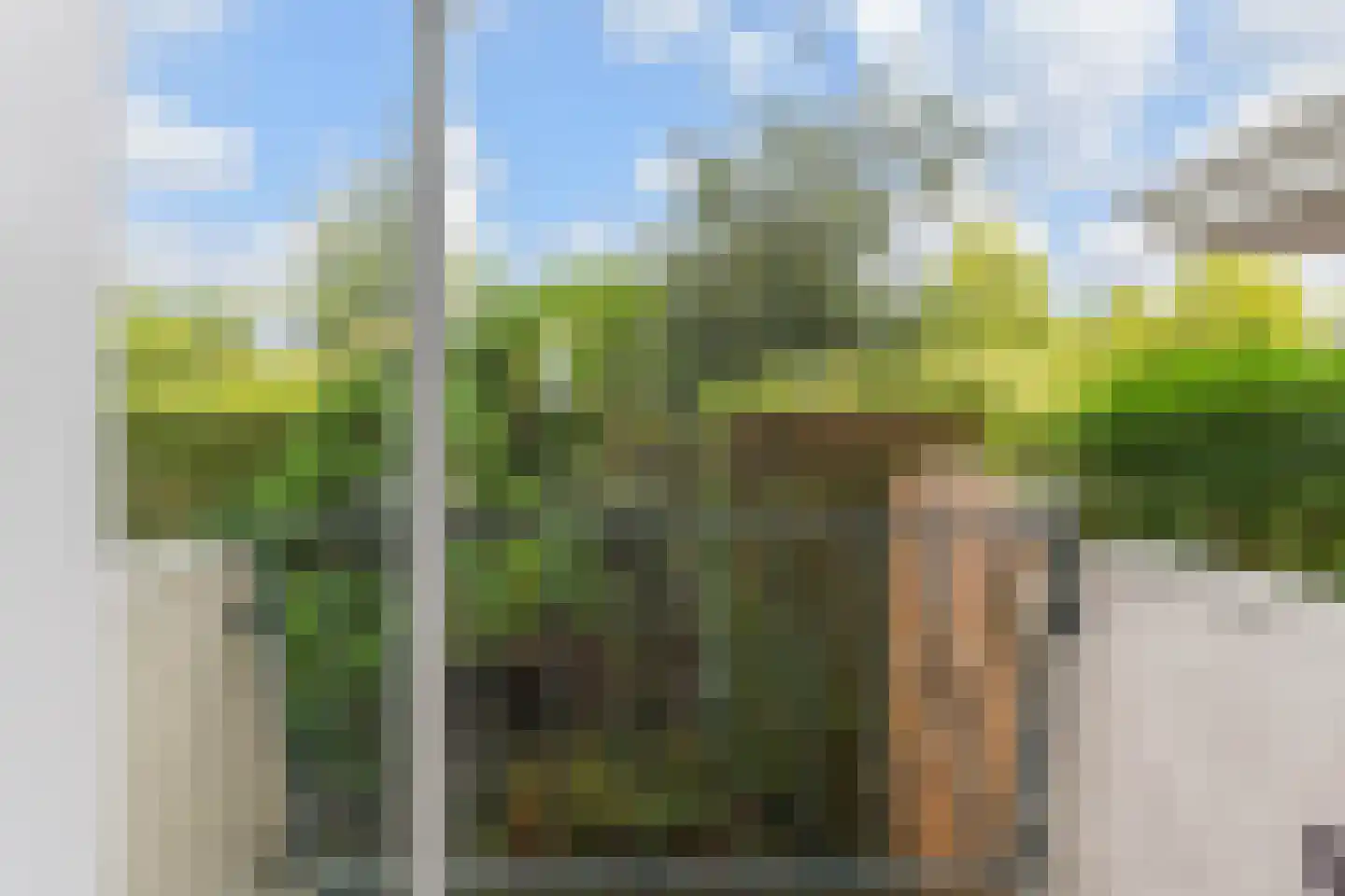 Goudsbloemlaan 220 Den Haag thumbnail 31