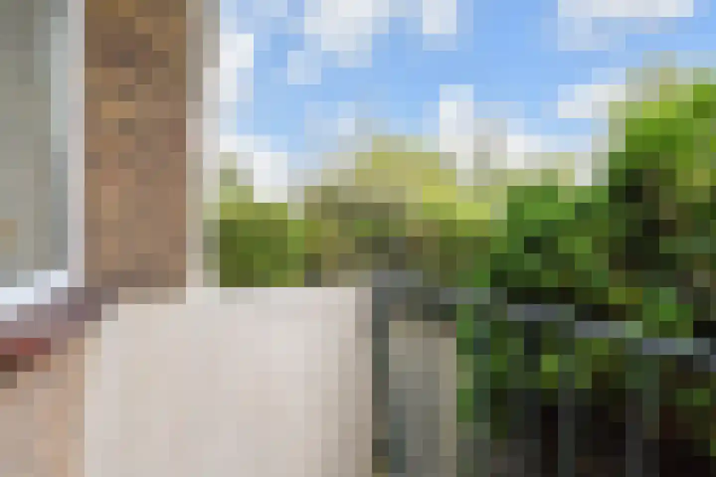 Goudsbloemlaan 220 Den Haag thumbnail 32