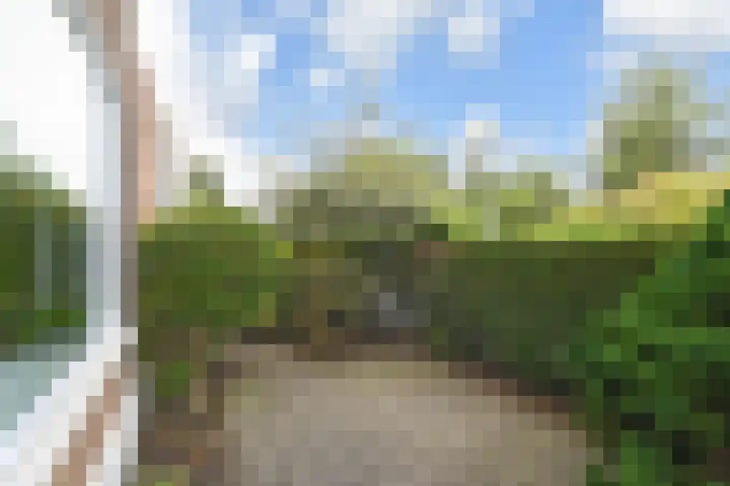 Goudsbloemlaan 220 Den Haag thumbnail 33
