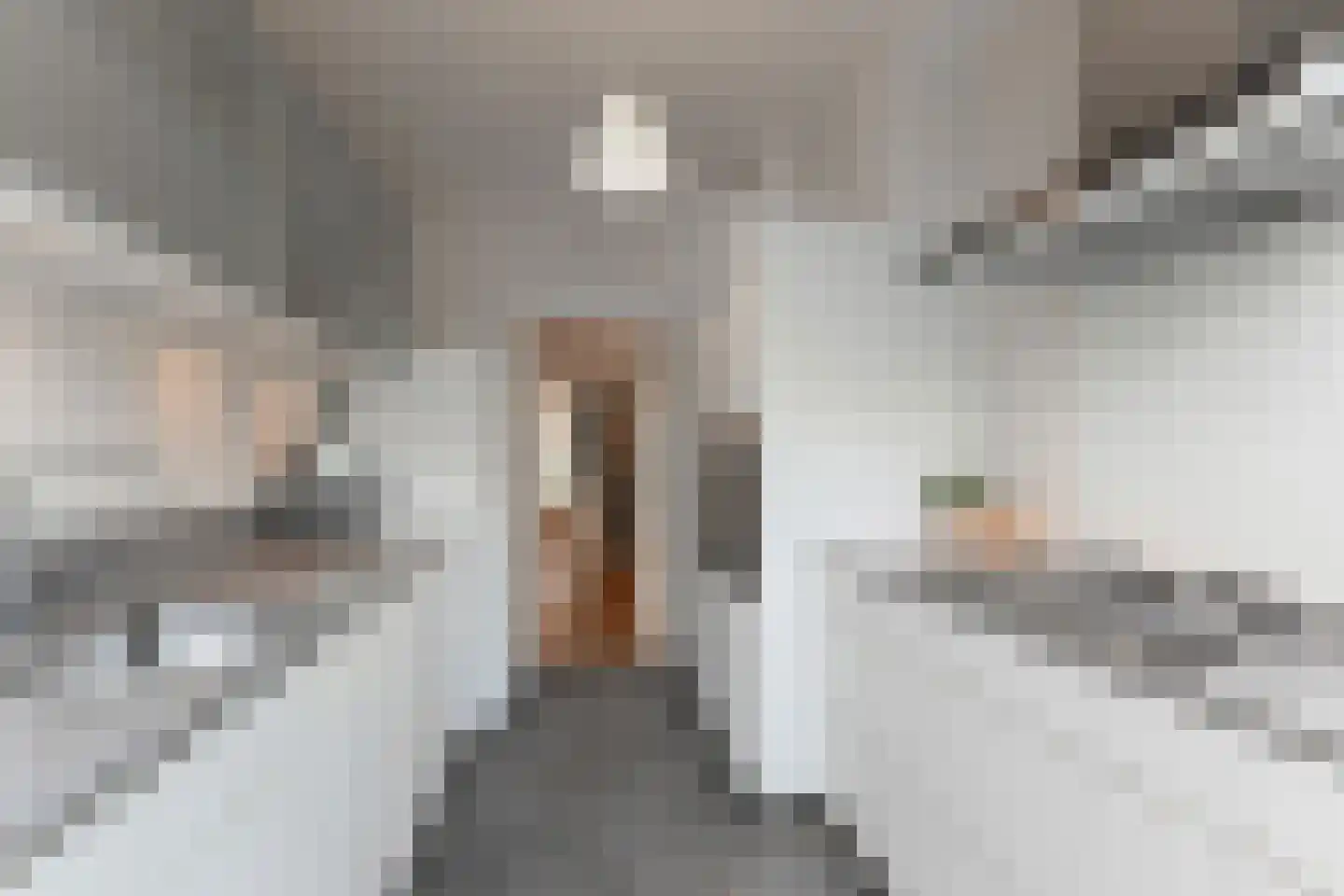 Goudsbloemlaan 220 Den Haag thumbnail 34