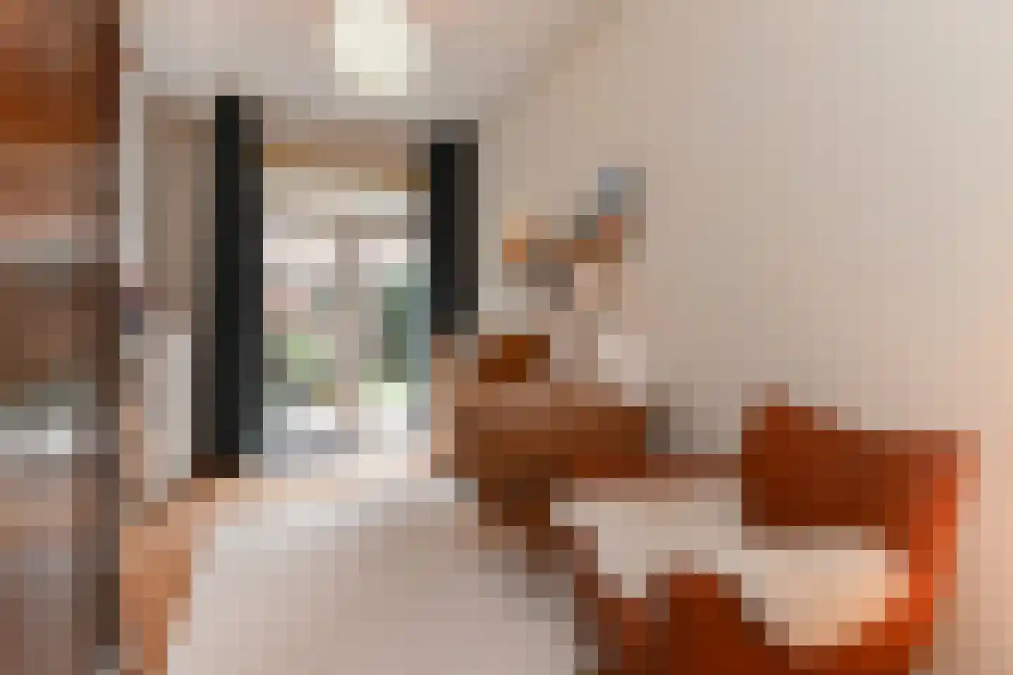 Goudsbloemlaan 220 Den Haag thumbnail 38