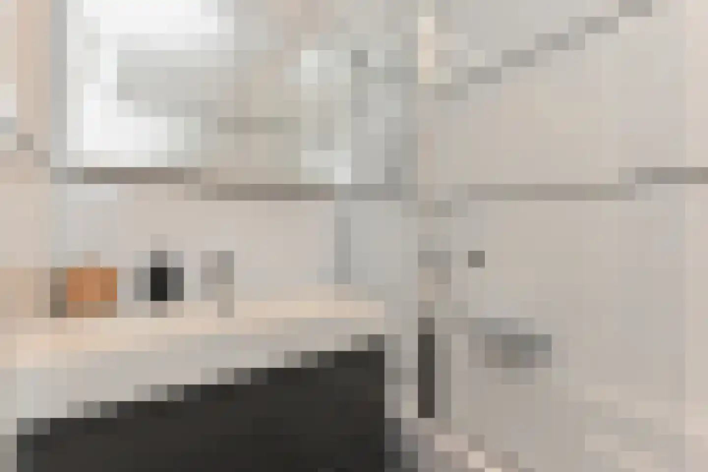 Goudsbloemlaan 220 Den Haag thumbnail 41