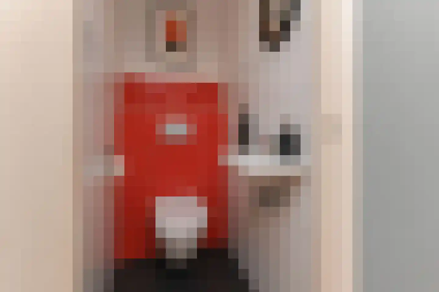 Goudsbloemlaan 220 Den Haag thumbnail 42
