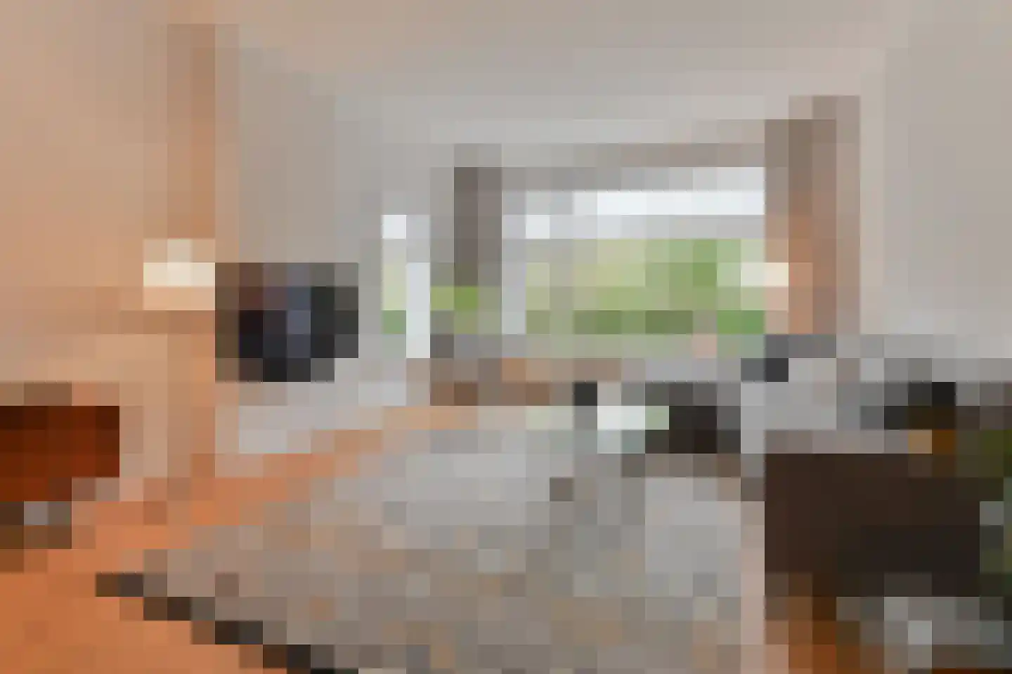 Goudsbloemlaan 220 Den Haag thumbnail 7