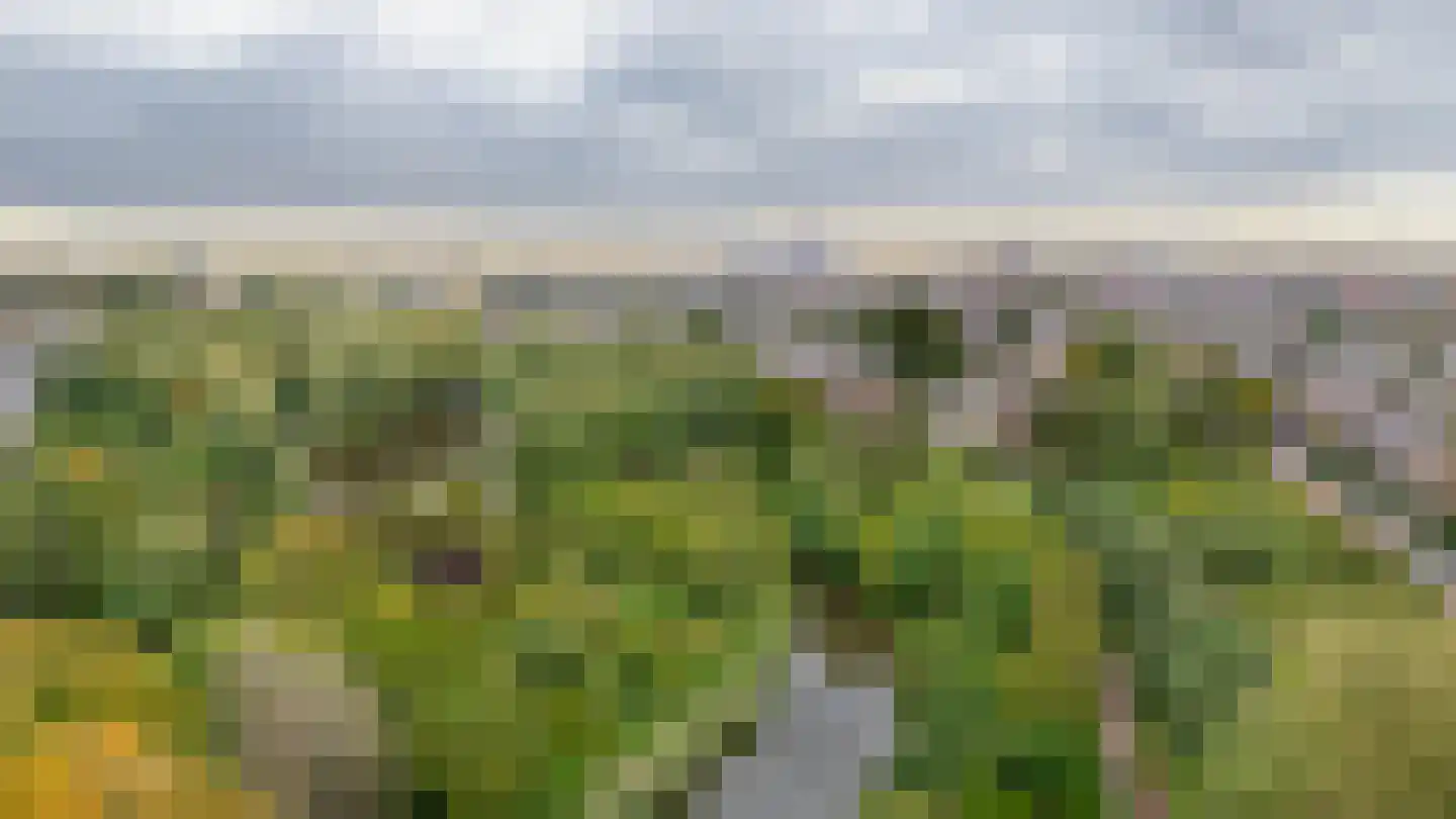 Goudsbloemlaan 226 Den Haag thumbnail 27